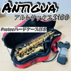 2026年最新】antigua 3100の人気アイテム - メルカリ