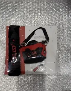 オーバーウォッチ ラッフル RAFFLE くじ アクリルキーホルダー