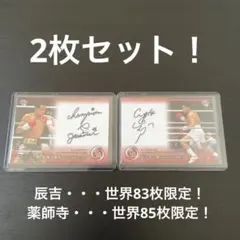 辰吉丈一郎 薬師寺保栄 直筆 サインカード 2枚セット 世界83枚 世界85枚 2025年最新】辰吉丈一郎サインの人気アイテム - メルカリ