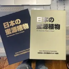 ハチミツ 日本蜜蜂の蜂蜜 奥山の奧のはちみつ 巣箱違いの2種 2026