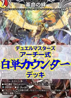 旧環境 ゲートボール CS優勝 デュエルマスターズ ヘブフォドラグナー