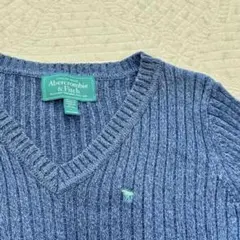 Abercrombie&Fitch 青 長袖 綿リブニット