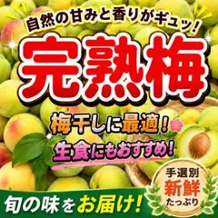 今季ラスト‼️《追熟梅（梅干し用）》優品（B級）M 2kg - メルカリ