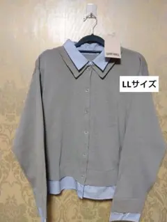 Item thumbnail for item 6ef11ac8-977f-4281-b30f-f69d75742438