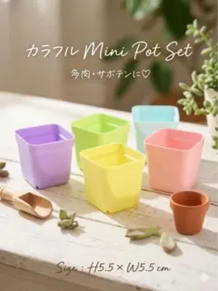 clara様専用です。2セット多肉植物　プラ鉢5色セット 5.5ミニ植木鉢