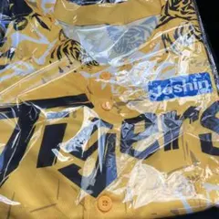 Item thumbnail for item 4c91561d-5228-4cd9-849a-86180eb0984f