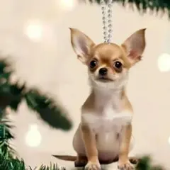 チワワ キーホルダー オーナメント 2