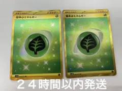 基本草エネルギー2枚