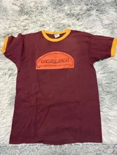 Champion 80'sリンガーTシャツ Lサイズ