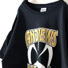 ギルダン ANDREWS MUSTANGS Tシャツ L ブラック 黒 古着