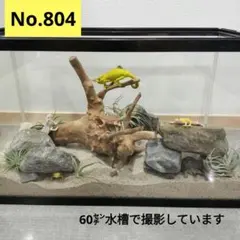 Item thumbnail for item 10ce719f-1b2e-4a7a-b173-9f1502885155