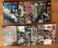 雷魚 ライギョ SNAKE HEAD フロッグ VHS ビデオテープ 7本 - メルカリ