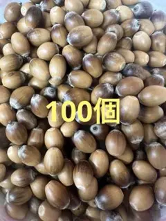 Item thumbnail for item cc48cead-02b1-4f8e-baf9-e3465953ef2c