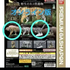 いきもの大図鑑　オンライン版　野生のネコ科動物