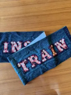 セカイノオワリ　INSOMNIA TRAIN マフラータオル　　セカオワのサムネイル