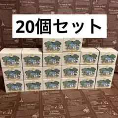 ムーミンバレーパーク マグ 限定 20個セットARABIAマグ 2026