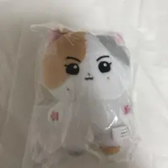 ジョンウォン　ぬいぐるみ　10cm エンニマルズ
