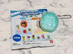 たまごっちケースのみ HobbyTime やんぐまめっち 緑 なにわ男子大橋和也