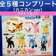 ポケットモンスター つまんでつなげてマスコット13 イーブイフレンズ 全5種