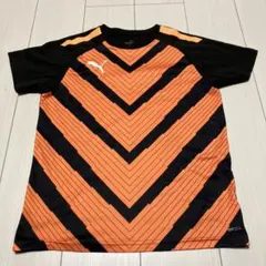 Item thumbnail for item ee520448-6593-42ec-94db-7e9a67066d0c