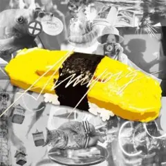 あいみょん tamago CD ケース、歌詞カード無し