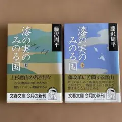 藤沢周平