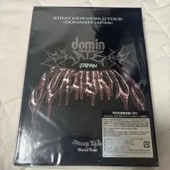 stray kids Blu-ray 冠山生産限定盤 未開封 - メルカリ