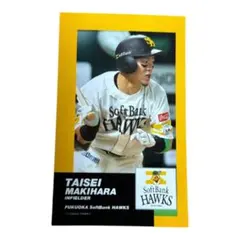 即購入⭕️ ソフトバンクホークス　牧原大成選手　フォト
