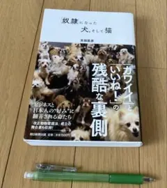 2026年最新】猫奴隷の人気アイテム - メルカリ
