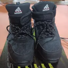 Item thumbnail for item b86c8e3f-93d7-42c5-8ef8-8e0931fb1c37