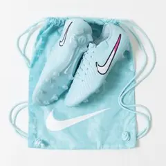 新品 NIKE Tiempo Legend 10 Elite FG DV4328