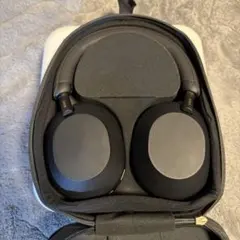 Item thumbnail for item a4a82022-204a-49c0-9150-ed5abef39834