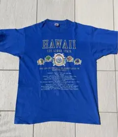 90s ヴィンテージ usa製 FRUIT OF THE ROOM tシャツ