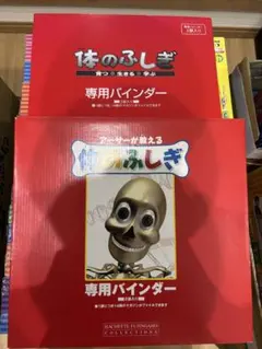 2026年最新】人体模型 アーサーの人気アイテム - メルカリ