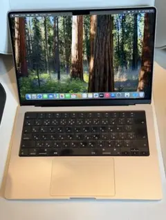 MacBook Pro 14“ M1 Max 64GB JIS