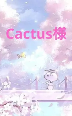Cactusプロフィ必読様 リクエスト 2点 まとめ商品