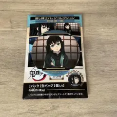 鬼滅の刃 推し隊士バッジコレクション