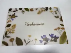 【A3】ハーバリウム用　下敷き　5枚セット