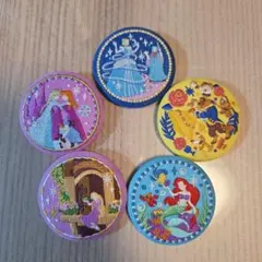 ディズニー刺繍缶バッジ　プリンセス5個セット　アナと雪の女王など