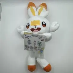 ポケットモンスター つれてってぬいぐるみ ヒバニー