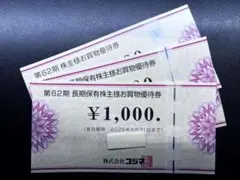 ビックカメラ・コジマ　優待券3000円分