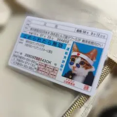なめ猫 免許証風カード 3枚セット