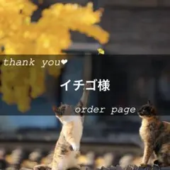 イチゴ様専用ページ