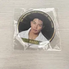 THE RAMPAGE 武知海青 カウコン 缶バッチ