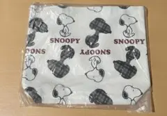 Item thumbnail for item ebca4169-c61a-41ad-836e-78c0dd44f432