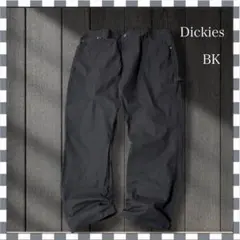 1737/Dickiesディッキーズ BKペインターワークパンツ 42x30