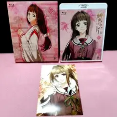 緋色の欠片 Blu-ray 7巻　2枚組 特典イラストカード付き