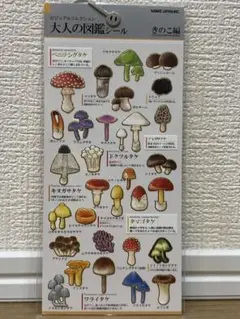 Item thumbnail for item 23f40d95-946d-43af-918b-62d6b2f23bf1