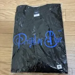 Item thumbnail for item 30a46ca1-b0a8-4327-a850-dc23089faf08