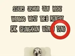 ✴︎seventeen✴︎ HOLIDAYPINS ディノ